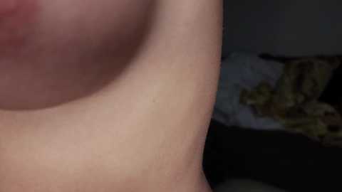 Media: svtf2323 Chaturbate 2024-01-20 03:20:00