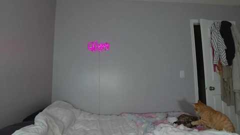 Media: sunshinedarling1 Chaturbate 2024-01-21 05:42:00
