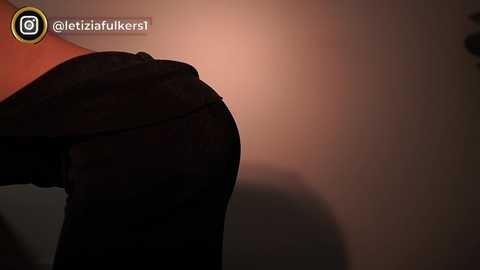 Media: letiziafulkers1 Chaturbate 2024-01-23 20:34:00