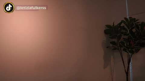 Media: letiziafulkers1 Chaturbate 2024-01-23 21:35:00