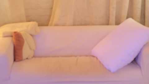 Media: eva_fashionista Chaturbate 2024-01-24 04:29:00