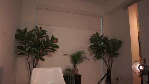 Media: letiziafulkers1 Chaturbate 2024-01-25 21:46:00
