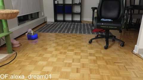 Media: alexa_dream Chaturbate 2024-01-26 03:53:00