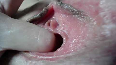 Media: courtney_luv Chaturbate 2024-01-26 16:08:00
