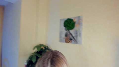 Media: felissiany Chaturbate 2024-01-26 13:24:00