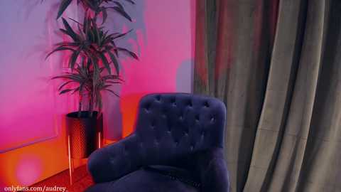 Media: audrey_ Chaturbate 2024-01-27 04:38:00