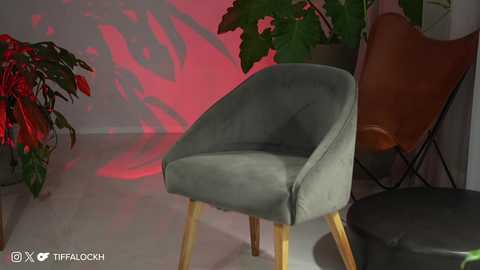 Media: tifalock_ Chaturbate 2024-01-27 00:14:00