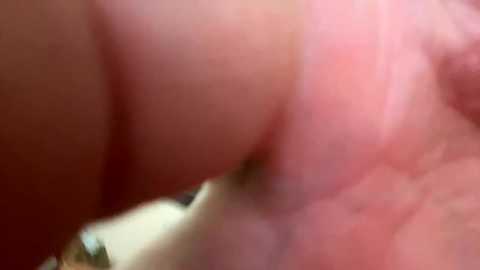 Media: apollobest77 Chaturbate 2024-01-28 13:16:00