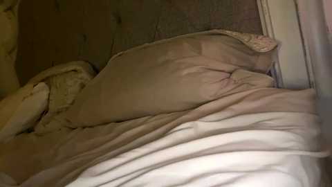 Media: x_dreamgirl_x Chaturbate 2024-01-28 07:30:00