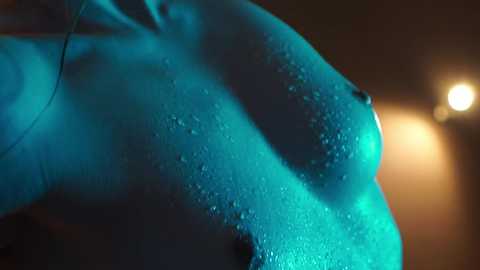 Media: _meganmeow_ Chaturbate 2024-01-29 00:58:00
