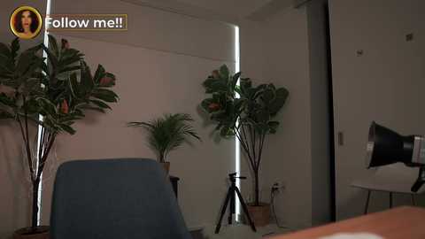 Media: letiziafulkers1 Chaturbate 2024-01-29 16:43:00
