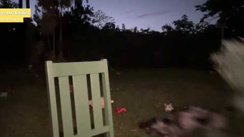 Media: kaileeshy Chaturbate 2024-01-30 04:42:00