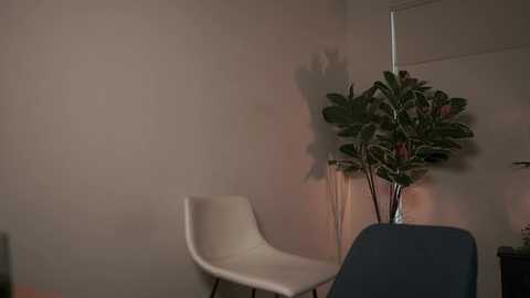 Media: letiziafulkers1 Chaturbate 2024-01-30 14:50:00