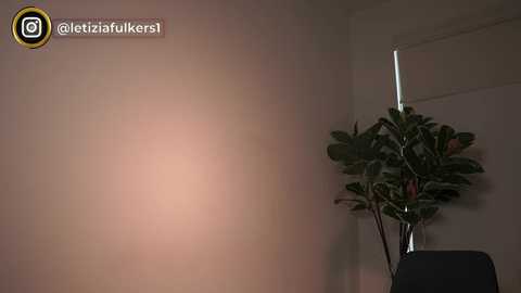 Media: letiziafulkers1 Chaturbate 2024-01-30 18:34:00