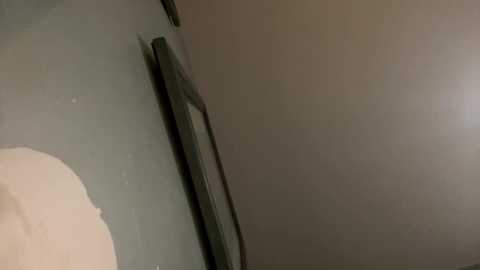 Media: realnaturalamateur Chaturbate 2024-01-30 05:48:00