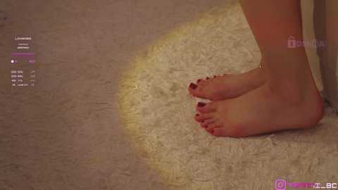 Media: taanni_bc Chaturbate 2024-01-30 06:12:00