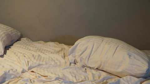 Media: _meganmeow_ Chaturbate 2024-01-31 05:50:00