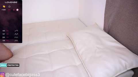 Media: cutefacebigass Chaturbate 2024-01-31 15:58:00