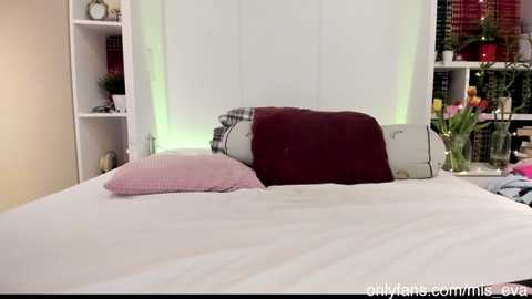 Media: mis_eva Chaturbate 2024-02-02 20:19:00