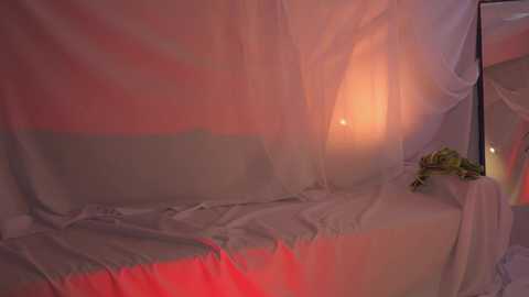 Media: sunny_maria Chaturbate 2024-02-02 02:56:00
