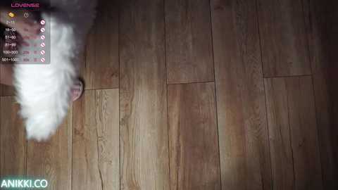 Media: angels_kiss Chaturbate 2024-02-04 18:01:00