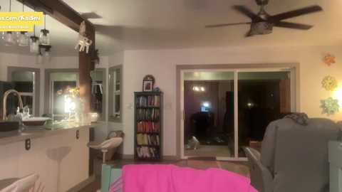 Media: kaileeshy Chaturbate 2024-02-04 05:31:00
