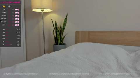 Media: brilliantvictoria Chaturbate 2024-02-06 13:48:00