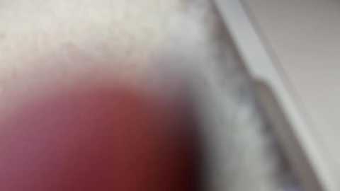 Media: kristenflame Chaturbate 2024-02-06 10:37:00