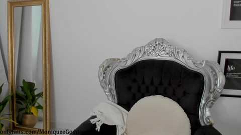 Media: moniqueeass Chaturbate 2024-02-06 14:00:00
