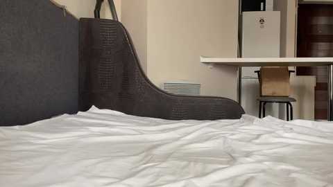 hooot_devil @ chaturbate on 20240208