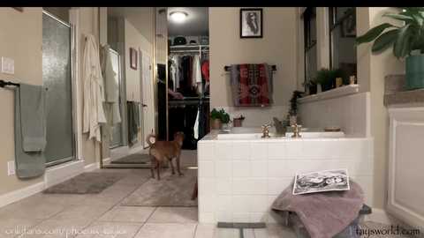 Media: phoenix_taylor Chaturbate 2024-02-08 03:15:00