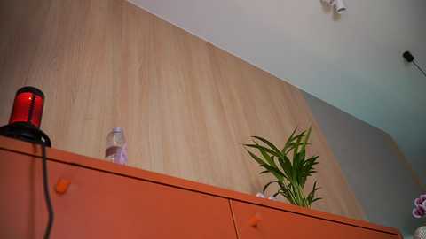 Media: sonya_kelsey Chaturbate 2024-02-09 09:46:00