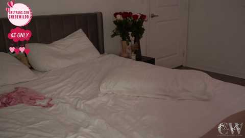 Media: chloewildd Chaturbate 2024-02-10 00:01:00