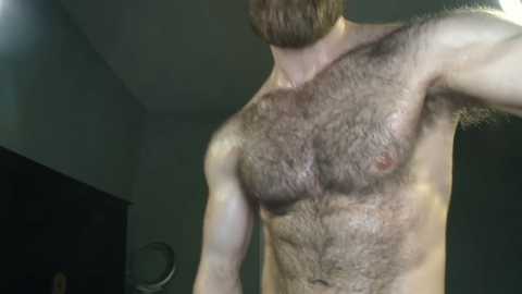 ryanhairystud @ chaturbate on 20240214