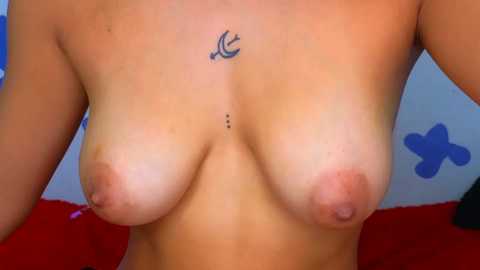 Media: stormy_17 Chaturbate 2024-02-14 14:08:00