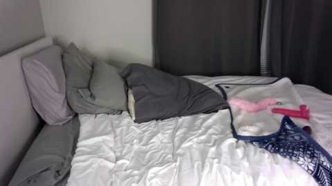 Media: gracieparker Chaturbate 2024-02-15 05:48:00