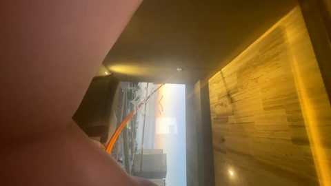 lovelyblackwidow @ chaturbate on 20240219