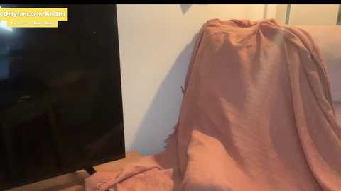 Media: kaileeshy Chaturbate 2024-02-20 06:55:00