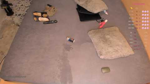 Media: theanytimeshow Chaturbate 2024-02-20 01:31:00