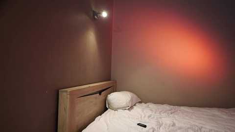 Media: _meganmeow_ Chaturbate 2024-02-22 06:59:00