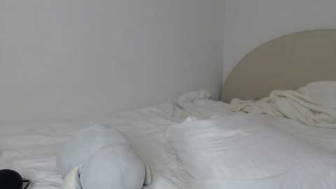 Media: itschanelxx Chaturbate 2024-02-22 06:24:00