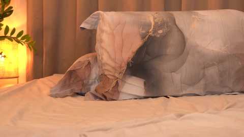 Media: chaturbabe__ Chaturbate 2024-02-23 18:22:00