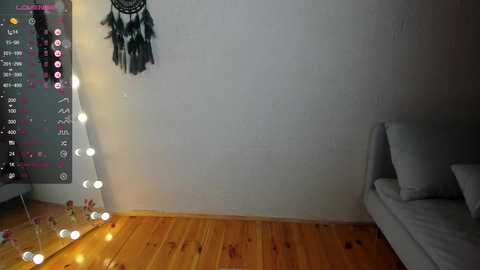 Media: euphoria_life Chaturbate 2024-02-28 01:39:00