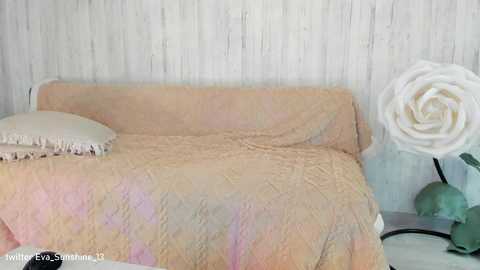 Media: sunshine13_ Chaturbate 2024-02-28 19:18:00