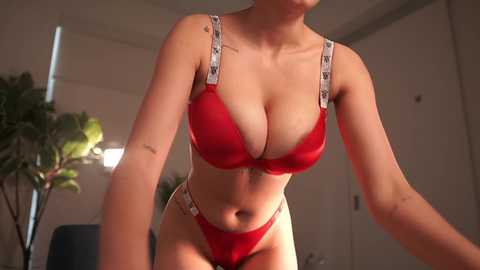 Media: letiziafulkers1 Chaturbate 2024-02-29 20:02:00