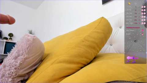 Media: _timeless_paradox Chaturbate 2024-03-01 12:14:00