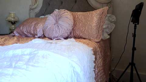 Media: littlegreekflower Chaturbate 2024-03-02 18:16:00