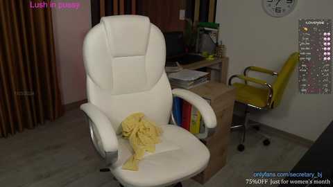 Media: secretary_bj Chaturbate 2024-03-02 00:10:00