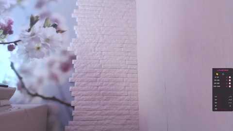 Media: mazzanti_ Chaturbate 2024-03-03 13:21:00