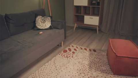 Media: audreycarvin Chaturbate 2024-03-04 17:58:00
